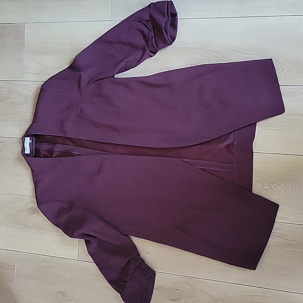 🌟Host Pick🌟 ARITZIA BABATON Macauley Blazer 6 - Picture 2 of 6